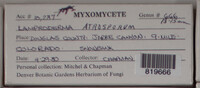 Image Associated With the Occurence